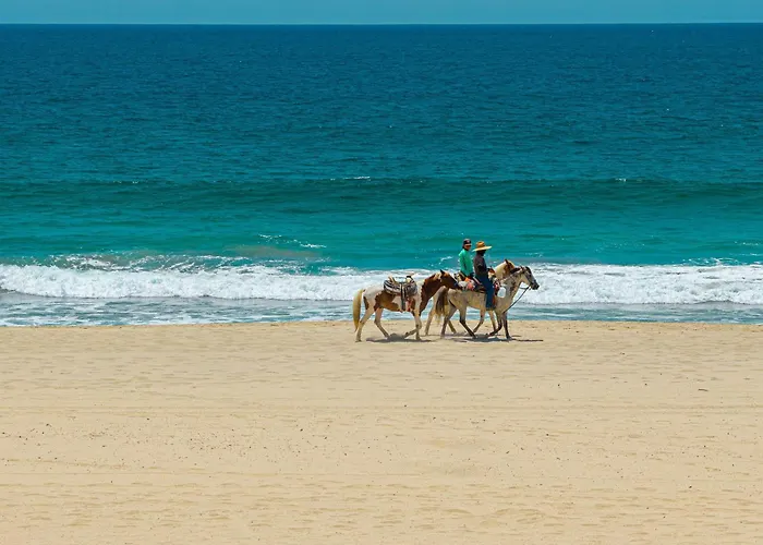 Beachfront 3br At Tortuga Bay By The Agency Baja Travel Holiday home *